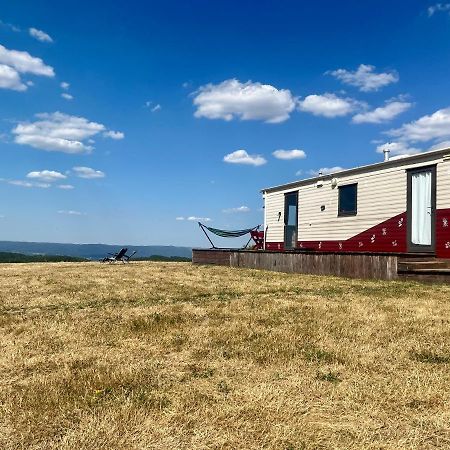 ואדו קרישולוי Mountaintop Panoramaview Casa In Bihor Apuseni מראה חיצוני תמונה